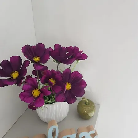 Appartement John's Luxury *