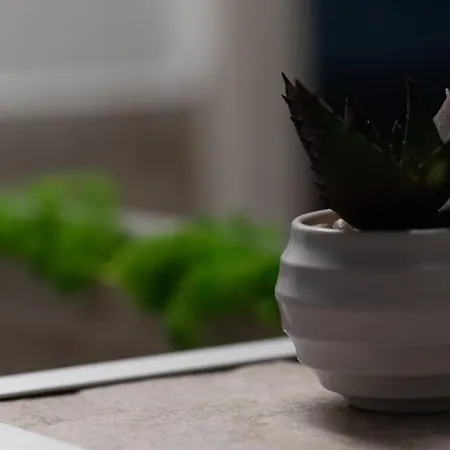 John's Luxury * Mamaia